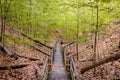 Boardwalk stairs down into the wooded part of PJ Hoffmaster Park Royalty Free Stock Photo