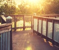 Boardwalk in swamp Royalty Free Stock Photo