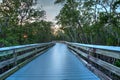 Boardwalk through the swamp, leading to Pass at sunset i Royalty Free Stock Photo