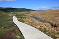 Boardwalk in the Tablelands Royalty Free Stock Photo
