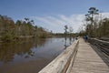 Boardwalk throughtout the swamp Royalty Free Stock Photo