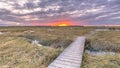 Boardwalk in Tidal Marshland nature reserve Saeftinghe