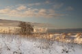 Boardwalk to the beach through dunes covered by fresh snow in winter morning Royalty Free Stock Photo