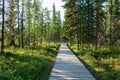 Boardwalk to the hot springs in Liard River Hot Springs Provincial Park, British Columbia, Canada