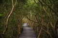 The boardwalk to the sea : The Laem Phak Bia Royal Project, Phetchaburi Thailand