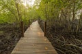 Boardwalk to sightseeing nature mangrove forest and sunset background Raksamae bridge Rayong,Thailand