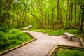 Boardwalk trail through the forest at Wildwood Park