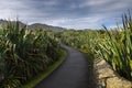 Boardwalk trail