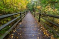 Boardwalk Trail Through Michigan Fall Forest Royalty Free Stock Photo