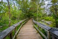 Boardwalk trail on Olmsted Island at Great Falls, Chesapeake & O Royalty Free Stock Photo