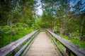 Boardwalk trail on Olmsted Island at Great Falls, Chesapeake & O Royalty Free Stock Photo