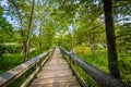 Boardwalk trail on Olmsted Island at Great Falls, Chesapeake & O Royalty Free Stock Photo