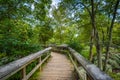 Boardwalk trail on Olmsted Island at Great Falls, Chesapeake & O Royalty Free Stock Photo