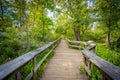 Boardwalk trail on Olmsted Island at Great Falls, Chesapeake & O Royalty Free Stock Photo