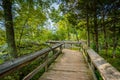 Boardwalk trail on Olmsted Island at Great Falls, Chesapeake & O Royalty Free Stock Photo