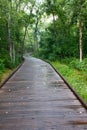 A Boardwalk Trail in the Woods