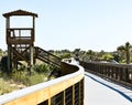 Boardwalk through tropical vegetation in New Smyrna Beach, Florida