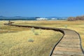 Mono Lake Tufa State Natural Reserve, Boardwalk and Tufa Formations, Mono County, California, USA Royalty Free Stock Photo