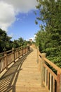 The Boardwalk at Vidanta Riviera Maya