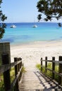 Boardwalk views Cabbage Tree beach Australia Royalty Free Stock Photo