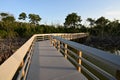 Boardwalk on West Lake in Everglades National Park, Florida at sunrise.