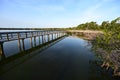 Boardwalk on West Lake in Everglades National Park, Florida at sunrise.