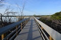 Boardwalk on West Lake in Everglades National Park, Florida at sunrise.