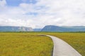 Boardwalk into the wilderness Royalty Free Stock Photo