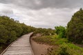 Winding Boardwalk Royalty Free Stock Photo