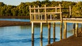 A Boardwalk Winding through the Mangroves Royalty Free Stock Photo