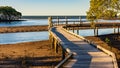 A Boardwalk Winding through the Mangroves Royalty Free Stock Photo