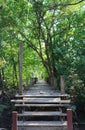 boardwalk wooden path over river Royalty Free Stock Photo