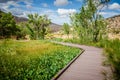 Boardwalks along Calico Basin in Red Rock Canyon National Conservation Area