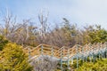 Boardwalks near Perito Moreno glacier, Argenti Royalty Free Stock Photo