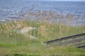 The boardwalk ends close to the beach access along the eastern seaboard in Florida