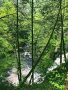 Bushkill Falls boardwalks with flowing water