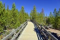 Boardwalks in Yellowstone National Park, Wyoming