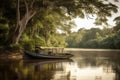 boat on the amazonas river, with tree canopy in the background Royalty Free Stock Photo