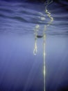 Boat Anchor Buoy Underwater View