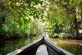 Boat in backwaters jungle