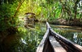 Boat in backwaters jungle Royalty Free Stock Photo