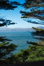 Boat in bay framed by trees Royalty Free Stock Photo