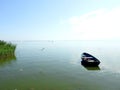 Boat and birds on lake shore, Lithuania