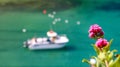 Boat in bokeh on cornwall coast port isaac with flowers in foreground