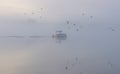 Boat and Brids on a Lake in the fog