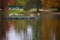 Boat circle on a lake in a park in autumn Royalty Free Stock Photo