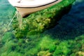 A boat in clear transparent water with green growth on a zip line with many small fish.