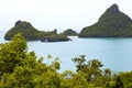 Boat coastline of a and tree south china sea thailand kho pha