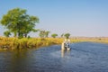 Boat cruise and wildlife safari on Chobe River, Namibia Botswana border, Africa. Chobe National Park, famous wildlilfe reserve and Royalty Free Stock Photo