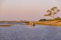 Boat cruise and wildlife safari on Chobe River, Namibia Botswana border, Africa. Chobe National Park, famous wildlilfe reserve and Royalty Free Stock Photo